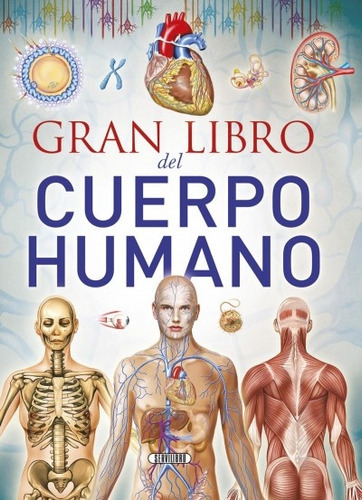 Gran Libro Del Cuerpo Humano, De Vários Autores. Editorial Servilibro, Tapa Blanda, Edición 1 En Español