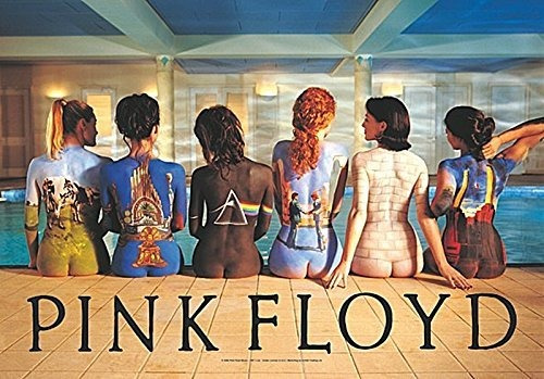 Lpgi Pink Floyd Volver Catálogo Póster En Tela, De 30 Por 40