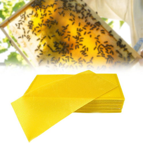 30 Hojas De Cera De Abejas Hojas De Base De Cera De Abeja