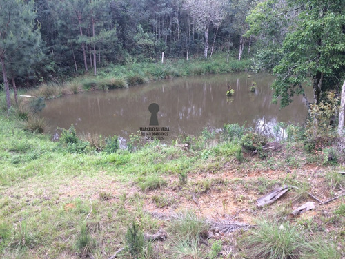 Chácara A Venda No Bairro Centro Em Bocaiúva Do Sul - Pr. - 469-1