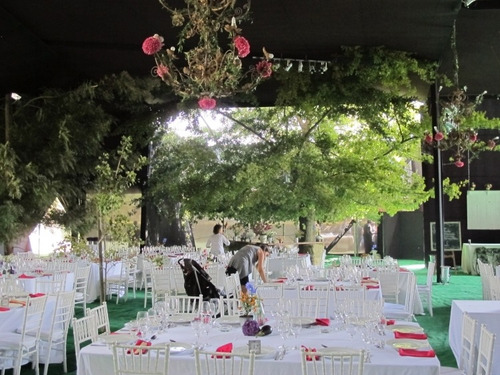Imagen 4 de 5 de Arriendo De Carpas