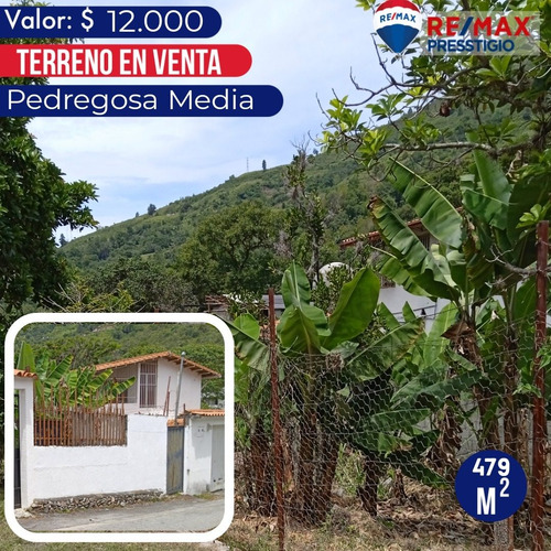 Imagen 1 de 10 de Terreno En Parte Media De La Pedregosa