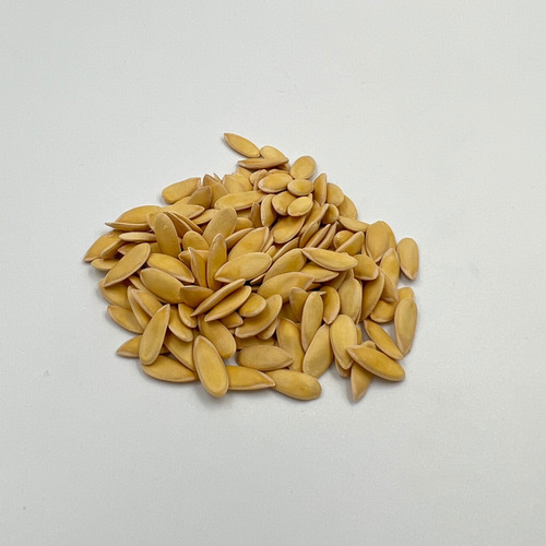 Semilla F1 Melón Super Dulce Huerto Urbano