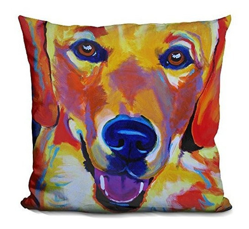 Almohadas Para Tina De Ba Lilipi Sheamus Decorative Accent T