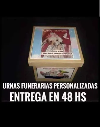 Funeraria De Mascotas Luna Cremaciones De Mascotas Y Más...
