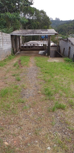 Imagem 6 de 8 de Terreno - Te00027 - 34354483