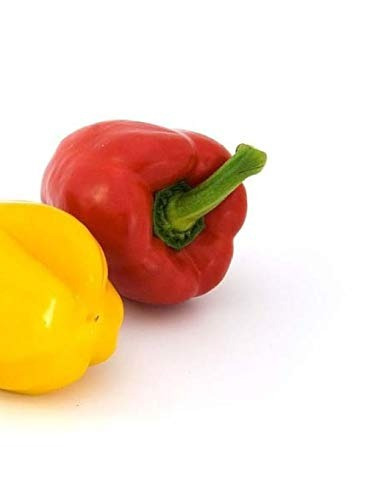 Capsicum Vegetable Chili Herbs Spices Cooking Recipe Cooks R