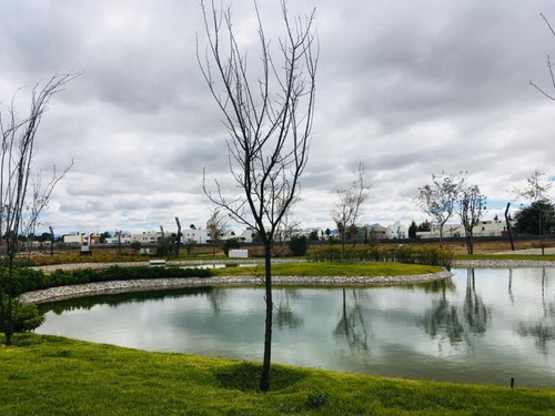 Imagen 9 de 12 de Terreno En Venta Zona Plateada