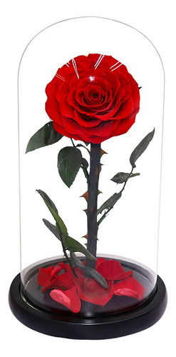 Flor Preservada Rosa Grande Regalo De San Valentín For Novia