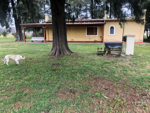 Venta Campo General Rodriguez