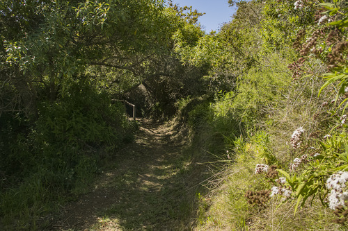 Reserva Natural En Punta De Lobos