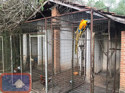 Lindo Sítio A Venda Atibaianos Em Bragança Paulista/sp - 14550
