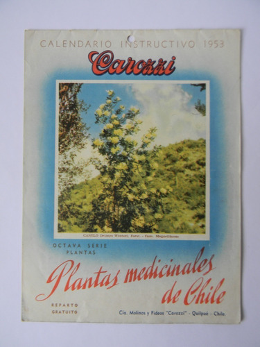 Plantas Medicinales De Chile Calendario Carozzi 1953