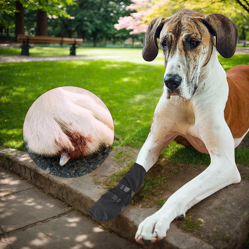 Bota De Recuperación De Heridas Para Perros Fundas Para Pata