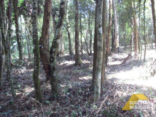 Imagem 6 de 15 de Terreno Na Represa Pé Na Água 4.672 M² - 2226
