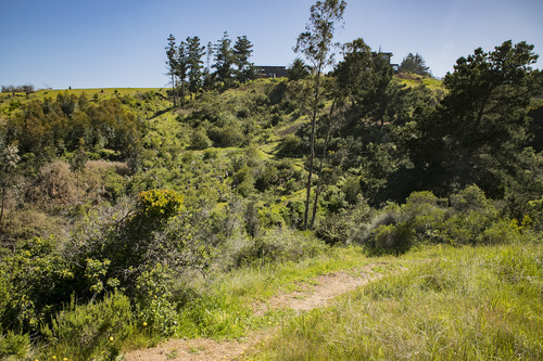 Reserva Natural En Punta De Lobos