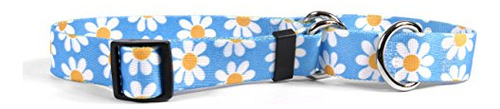 Collar Martingale  Daisy Azul , 27 , L.