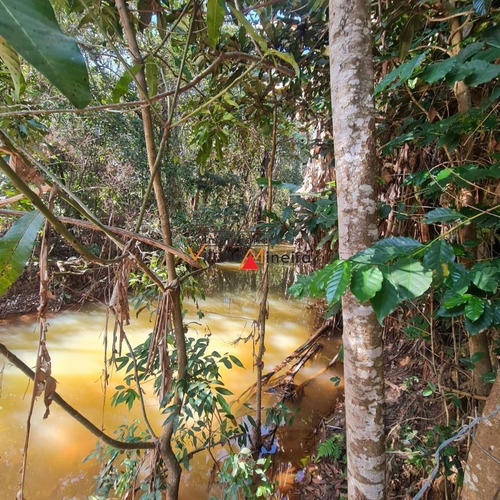 Imagem 6 de 13 de Chácara Para Venda Em Itatiaiuçu, Mg431, 3 Dormitórios, 1 Banheiro - 70618_2-1622844