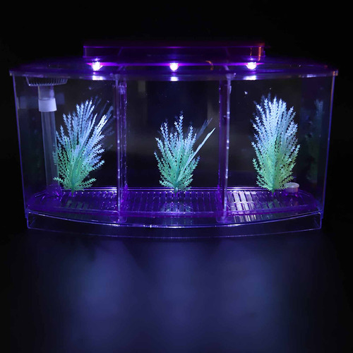 Criadero De Acrílico Led Para Acuario De Tres Divisiones