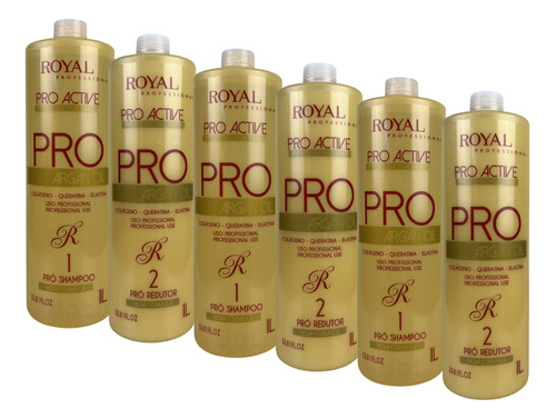 03 Escova Progressiva Pro Active Pro Argan Oil Royal + Brind