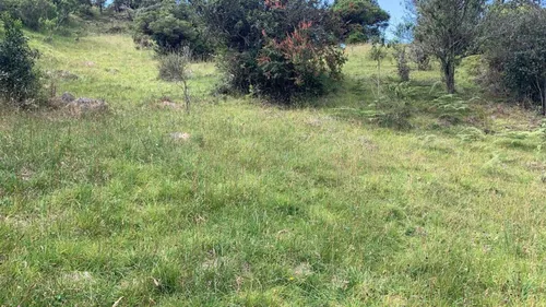 Lote En Venta En San Jose De La Concepción. Cod V20134