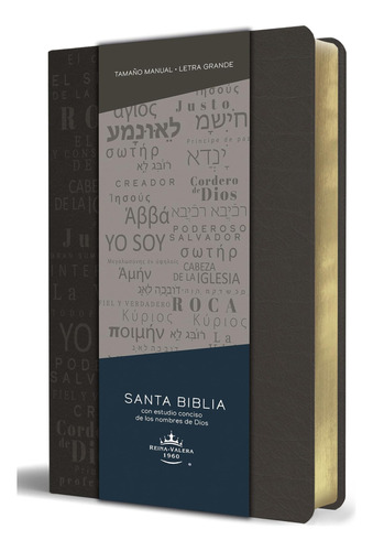 Libro: Biblia Rvr 1960 Letra Grande Tamaño Manual, Simil Pie