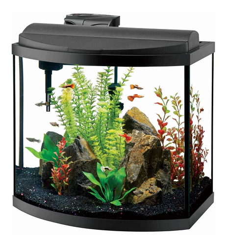 Acuario Agua Dulce Aqueon 16 Gal Led Curvo Kit Completo 