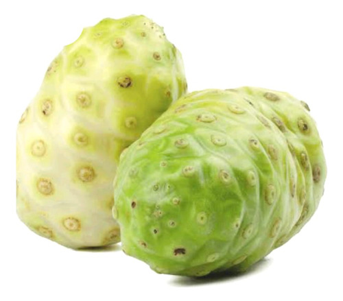 Fruta Noni A Fruta Milagrosa 03 Kilos/ Frente Grátis 