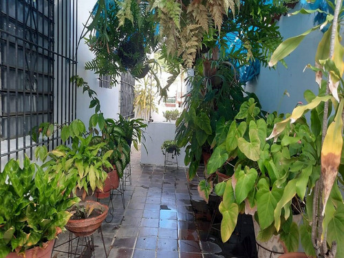 Casa En Venta Los Nisperos Conjunto Cerrado Internet Patio Jardin 2 Plantas Amaoblada Terraza De Los Nisperos Valencia