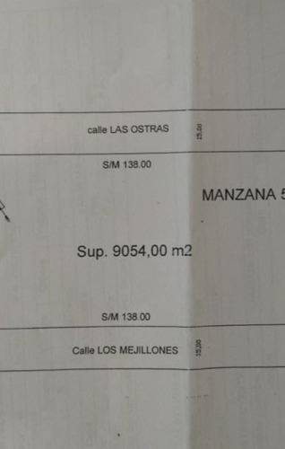 Imagen 5 de 6 de Lote - Playa Los Lobos