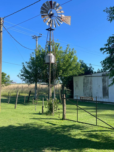 Chacras En Venta De 3 Hectáreas, Zona Rural.