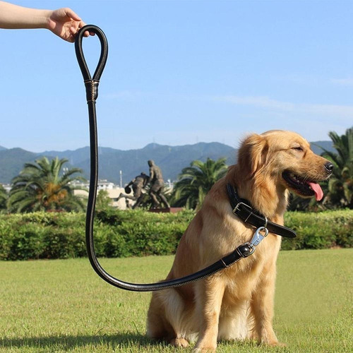 Juego De Collar Y Correa For Perro De Piel Sintética,