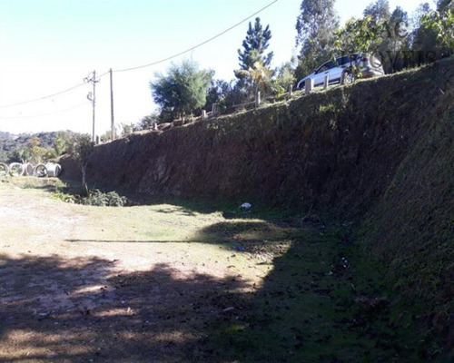 Imagem 13 de 29 de Galpões Industriais À Venda Em Mairiporã/sp - Compre Já O Seu Galpão Industriail Aqui! - 7008 - 34968897