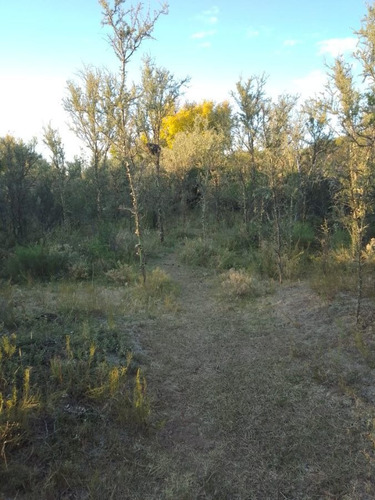 Imagen 7 de 28 de T056pa Amplios Terrenos De 1.350 M2 En Panaholma, A 300 Mts Del Río