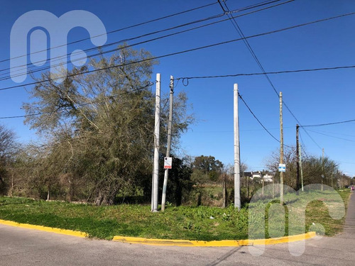 Imagen 5 de 11 de Venta Lote Gonnet