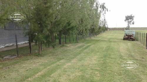 Venta De Campo En Colonia Valdense. Colonia.