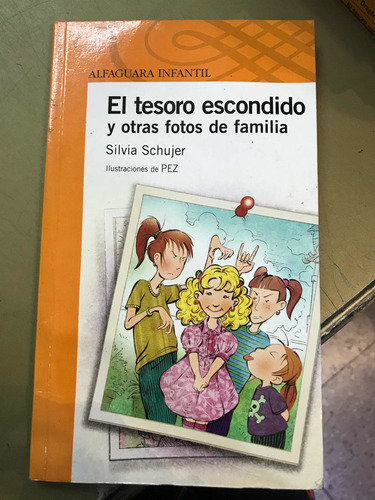 El Tesoro Escondido - Silvia Schujer Alf