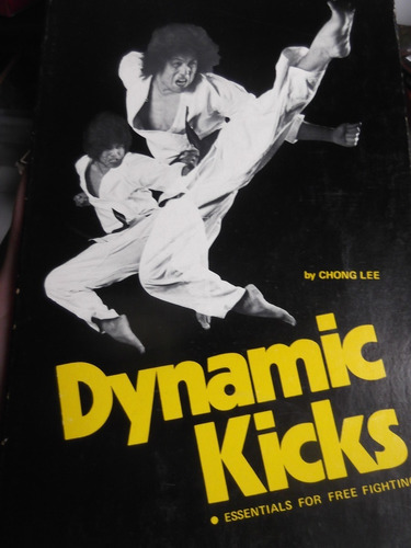 Dynamic Kicks Essentials For Free Fighting Martial Arts
