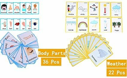 Set Of(body Parts+weather) Flash Cards For Toddlers | Kids L