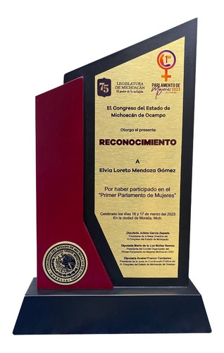 Reconocimiento Grabado Aluminio Urgente Diploma Trofeo