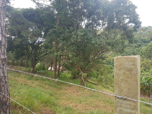 Imagem 3 de 14 de Terreno, Centro, Pirapora Do Bom Jesus - R$ 1.200.000,00, 430m² - Codigo: 234967 - V234967