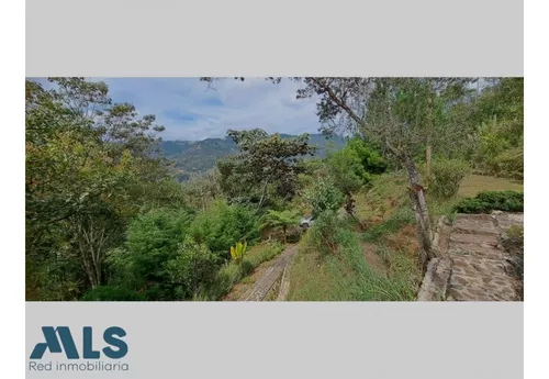 Finca Independiente En Rionegro - Sajonia(mls#246280)