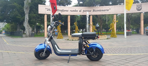 Imagen 9 de 18 de Scooter Eléctrico Modelo Harley Potencia 1500w Batería Litio