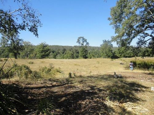 Parcela En Venta En Los Lagos