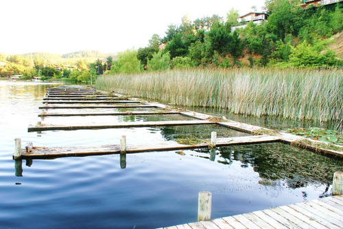 Imagen 14 de 19 de Lago Vichuquen, Tunquelen, Frente Lago