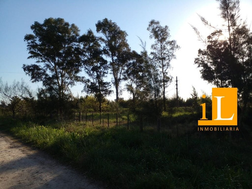 Lotes Sobre Ruta 210 - Cnel. Brandsen.