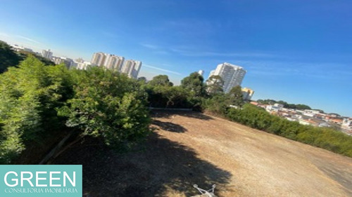 Imagem 10 de 14 de Loja Multifuncional/ Galpão Logístio, Jardim Marajoara Sp - Gl00096 - 70521444