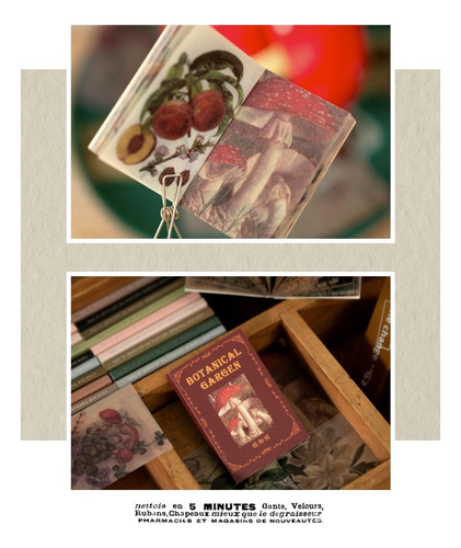 Mini Libro 50 Láminas Vintage Bullet Journal Scrap Botánica