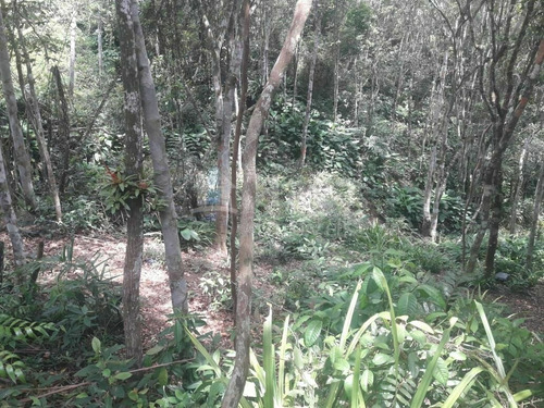 Imagem 3 de 20 de Chácara À Venda No Bairro Brilhante Ii - Itajaí/sc - 2156c