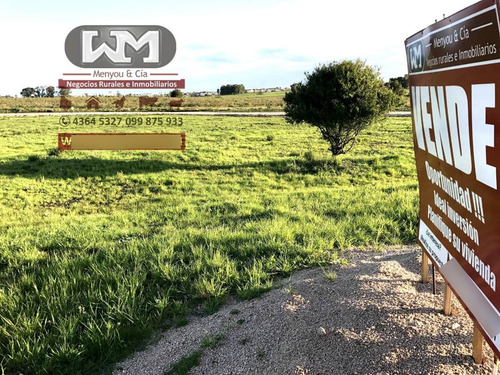 Venta Terreno En Trinidad Flores 10000 M2 Zona La Aviación